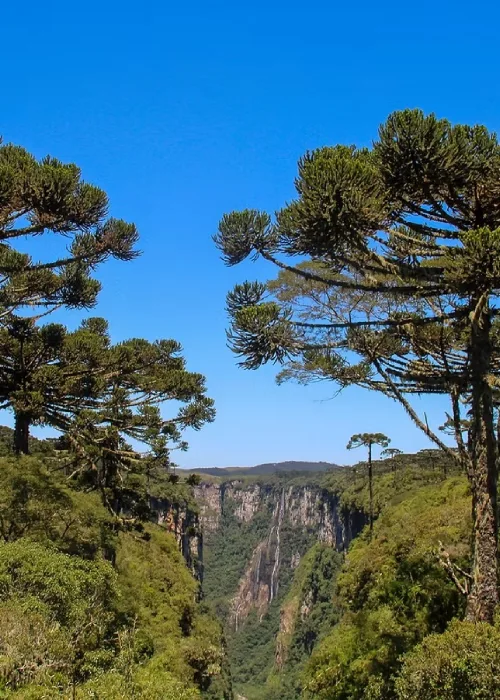 canyonsdosul