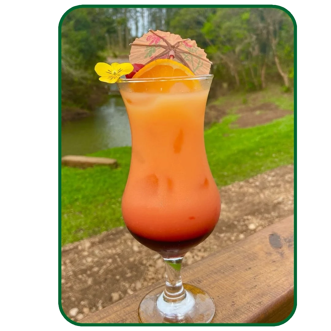 gastronomia-43.webp